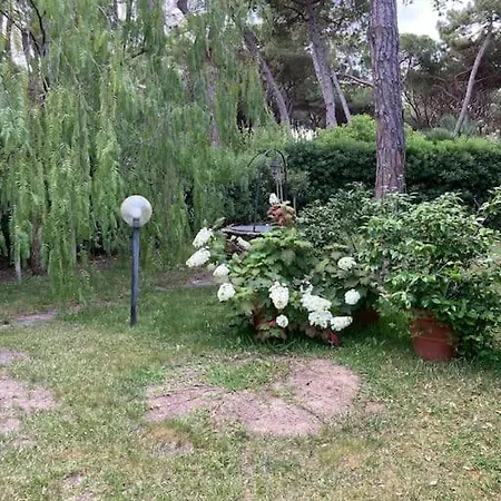 La Casa Tra I Pini Grosseto